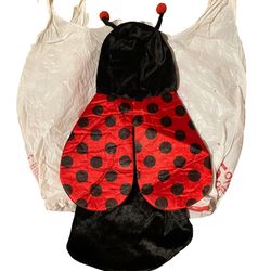 Small Dog Clothes