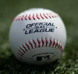 Rawlings | Official League Recreational Use Practice Baseballs | Youth/8U | OLB3 | Bucket | 8 Count
