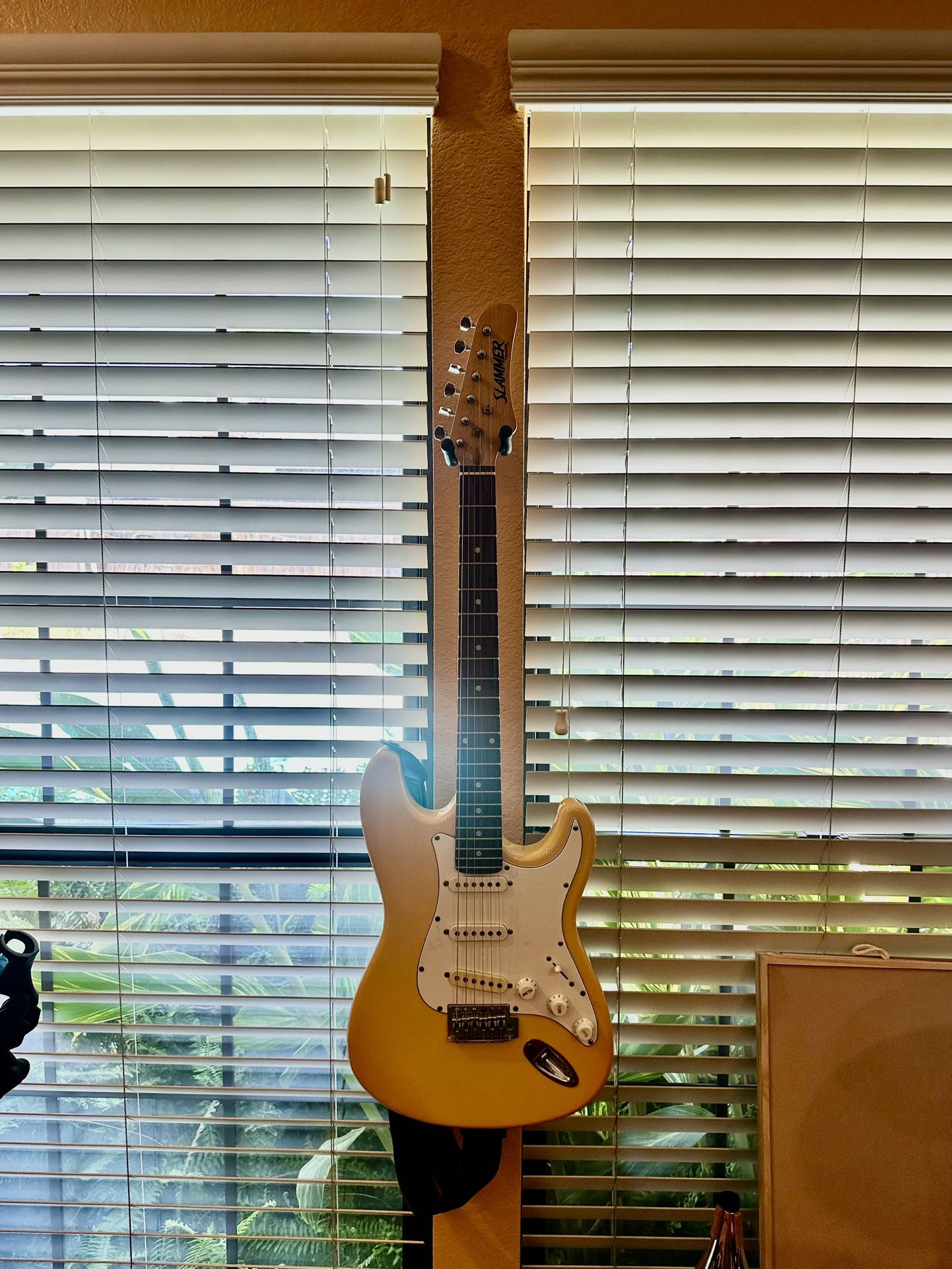 6 String guitar