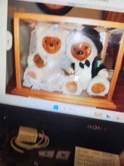 Raikes Bears Wedding Edition 1968