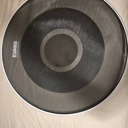 Evans Db1 Quite Heads