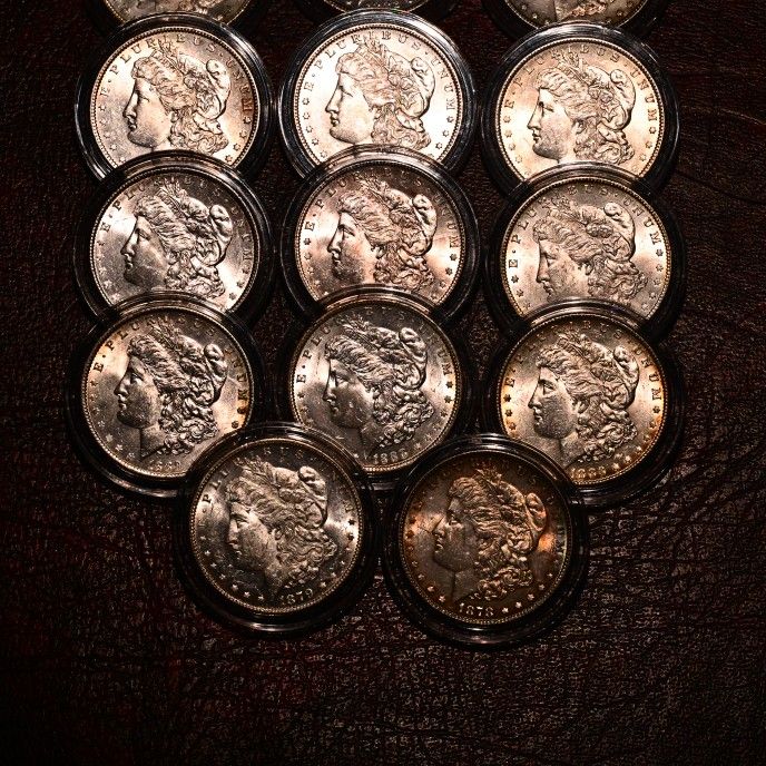 Morgan Dollars In Brilliant Uncirculated Condition!