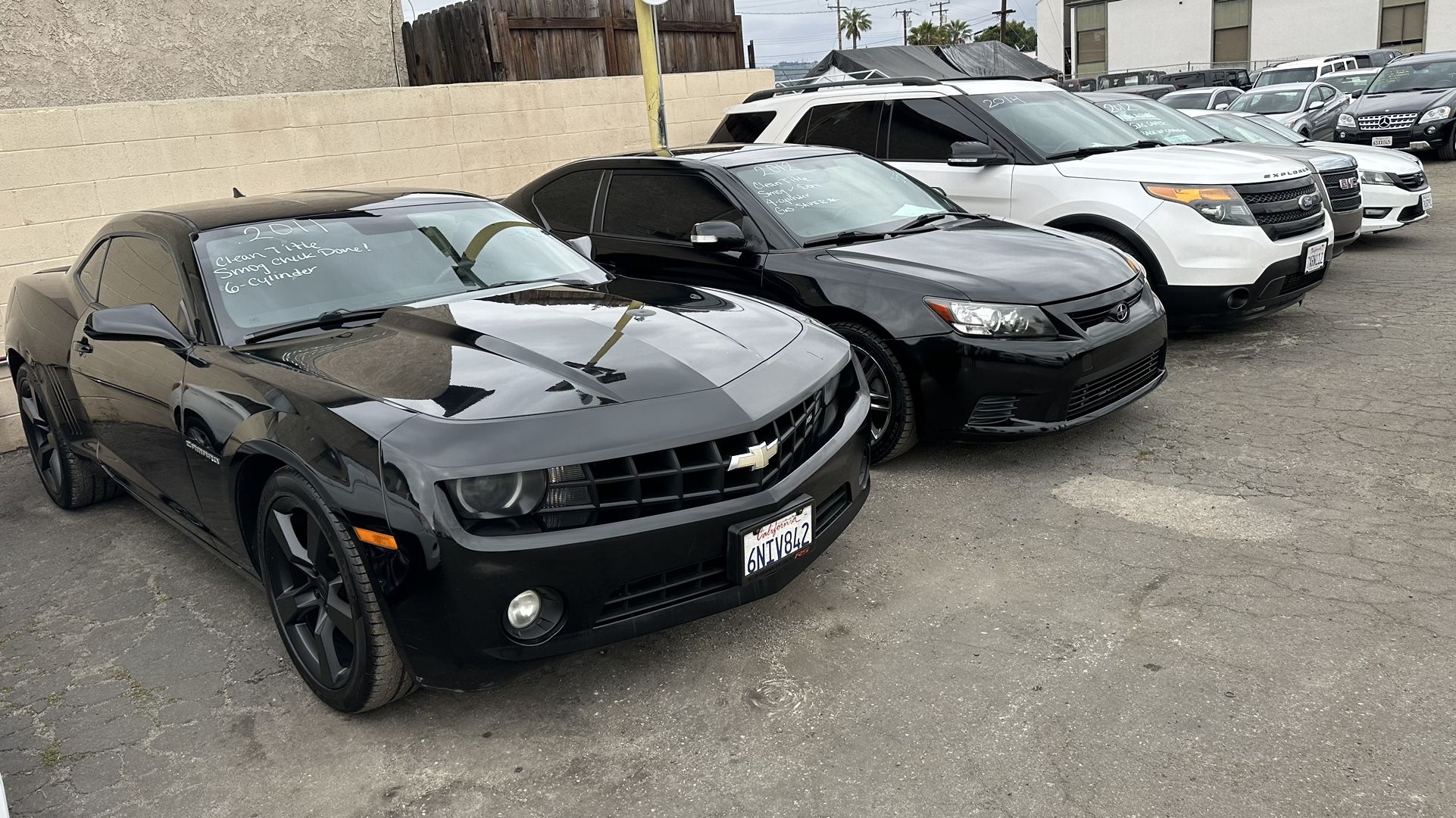 Memorial Day Specials