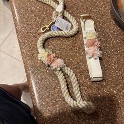 Dog Collar And   Leash 