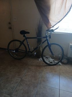 Single Track Trek