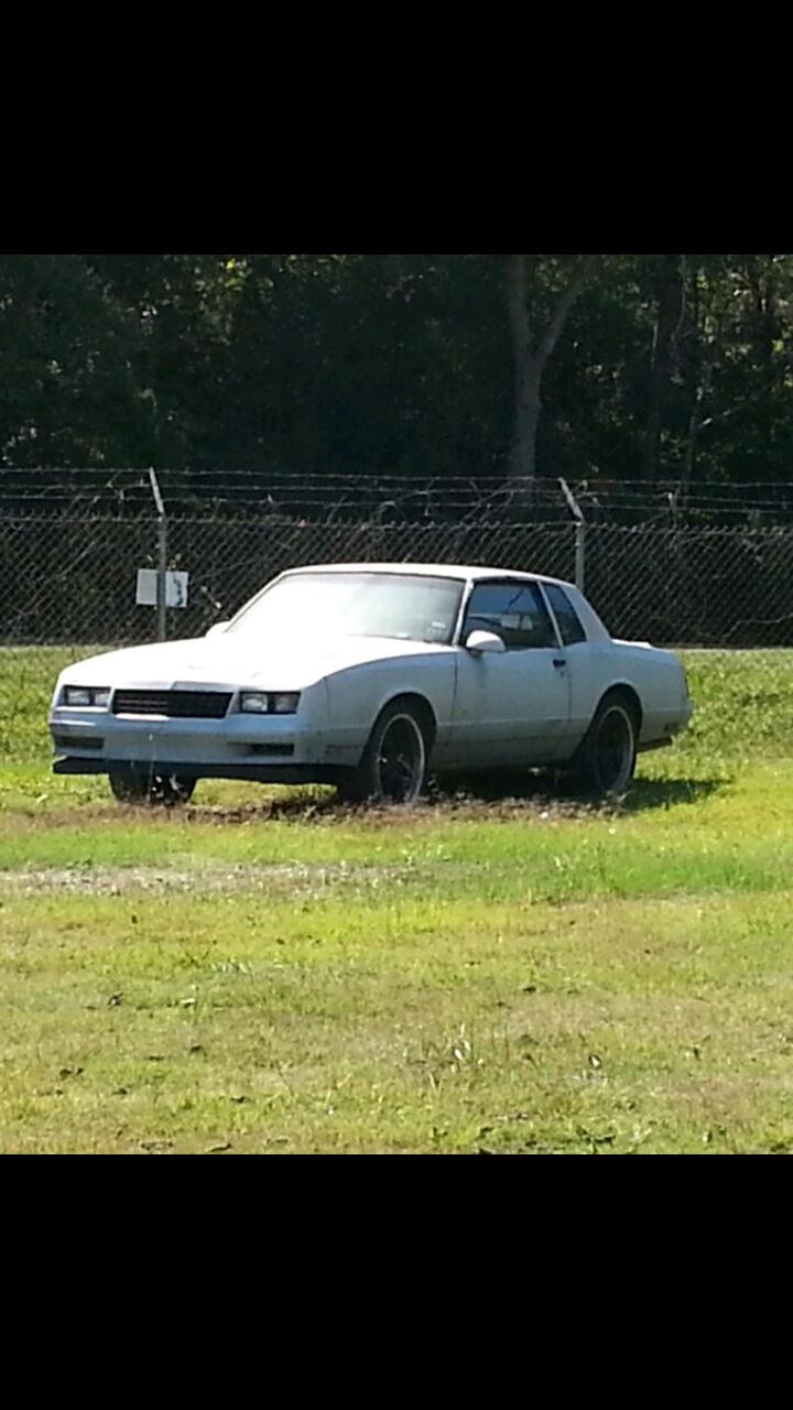 Monte Carlo ss g body