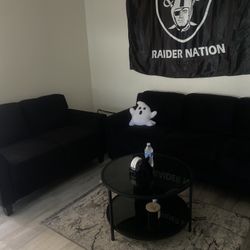 Need GONE ASAP Black Couches 