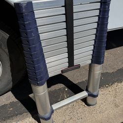 Telescoping Ladder