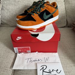 Nike Dunk Low Ugly Duckling Sz 10 Brand New