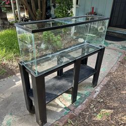 55 Gallon Fish Tank With Stand