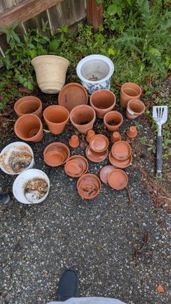 Clay pots and saucers small 6'
