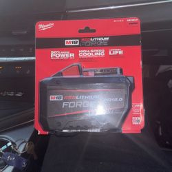 BRAND NEW 48-11-1813 M18 RED LITHIUM BATTERY HD12.0