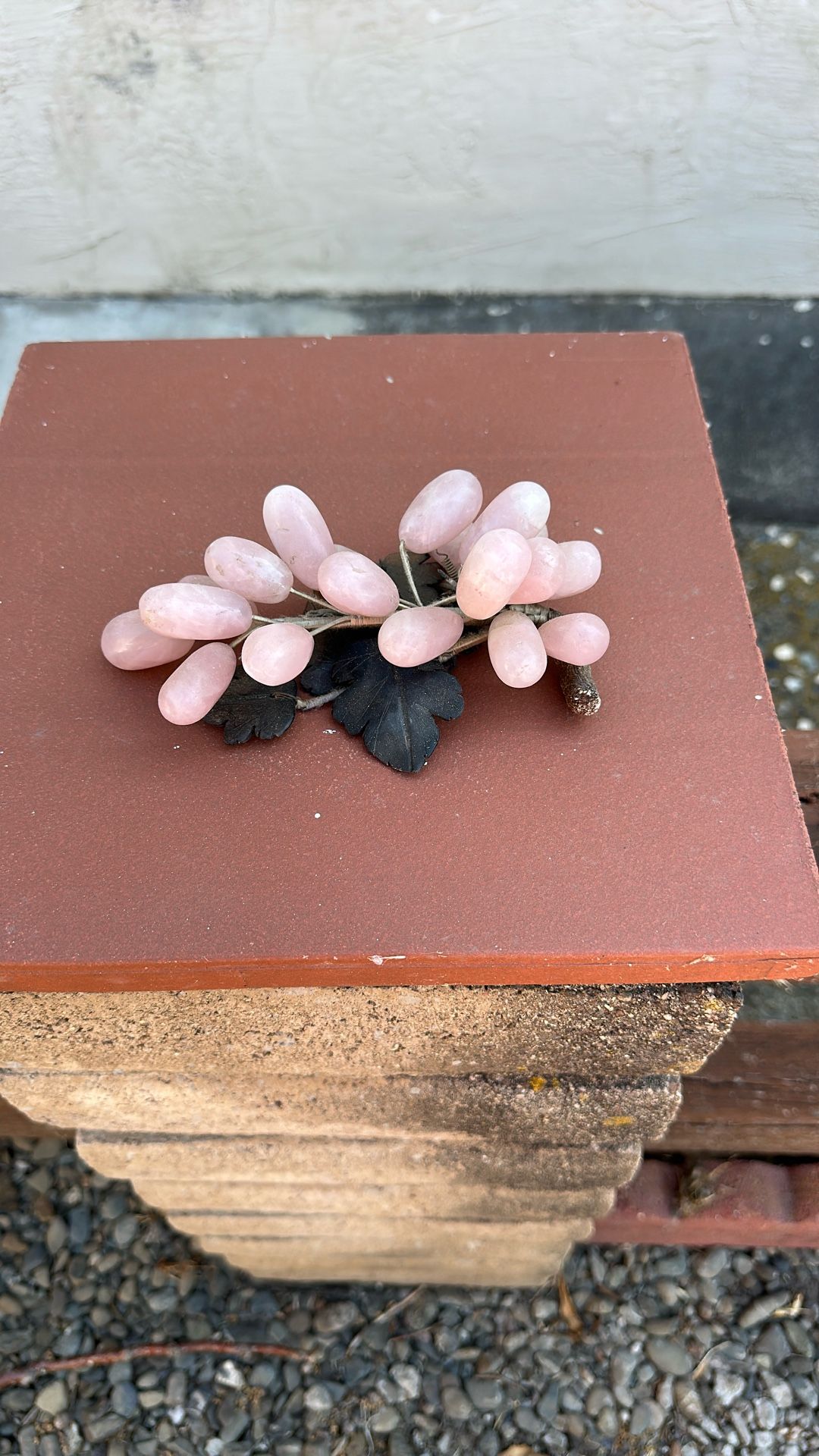 Decorative Grape Jade On Top Of Plant