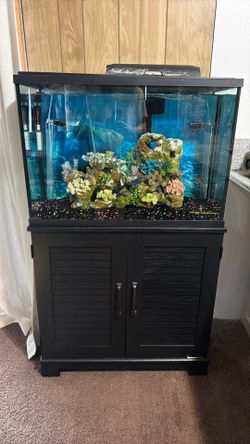 Fish Tank