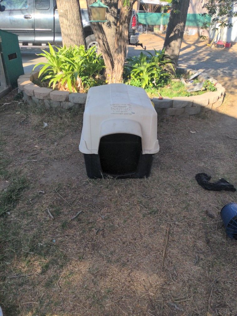 Dog House