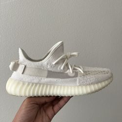 Yeezy Size 10