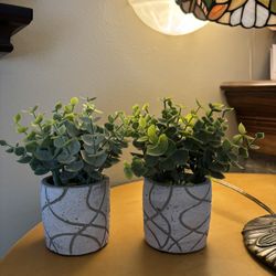 Home Decor