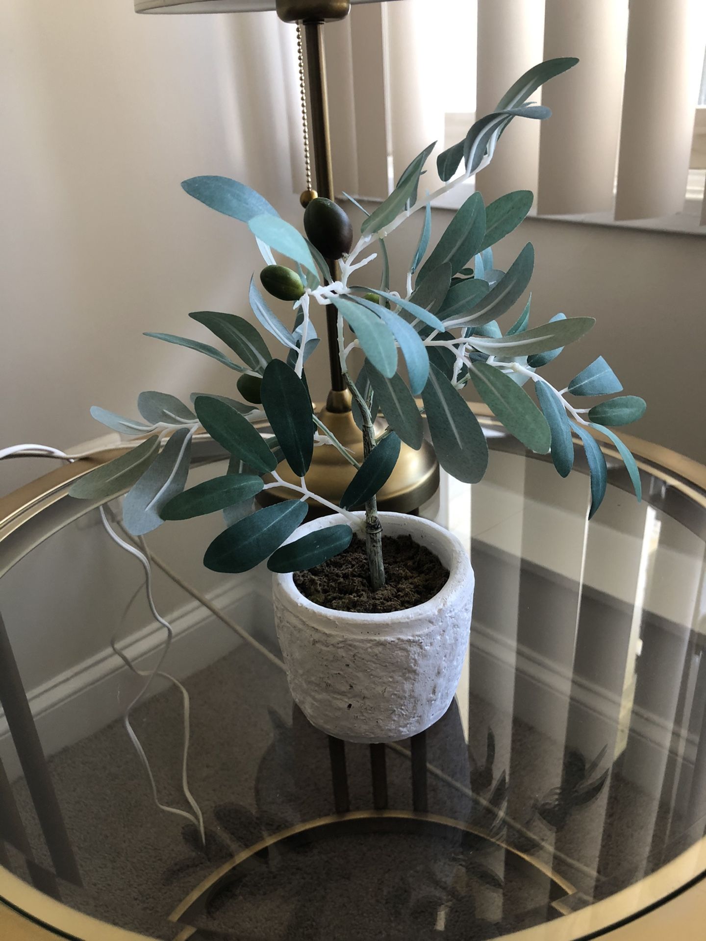 Beautiful fake olive plant
