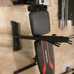 Work Out Bench