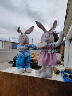 A couple of bunnies in good shape