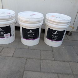 Benjamin Moore Paint NEW