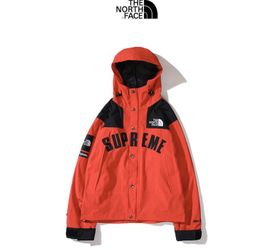 Supreme The North Face Arc Logo Mountain Parka Teal