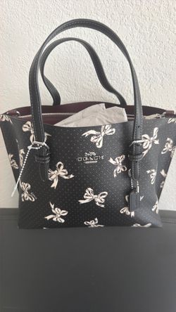 Coach Andrea bag