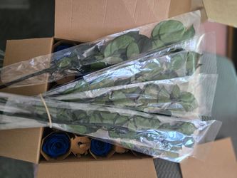 Rosas preservadas  por docena