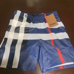 Designer Burberry Swimming Trunks