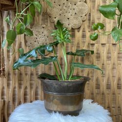 Vintage Brass Large Urn Pot Vessel Made In Hong Kong Patina Plant Decor Boho Eclectic Traditional MCM