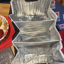 Insulated Storage Container 