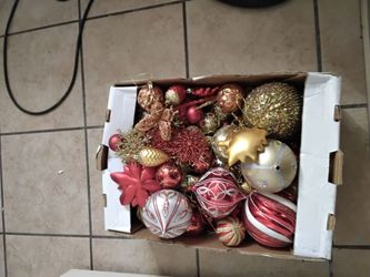 Box of bulbs