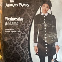 Wednesday Addams Costume/Size Large-Adult/Brand New