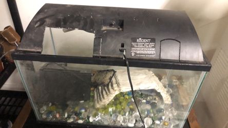 20wx10dx12”h Complete fish tank good condition