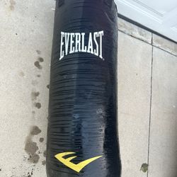 Everlast Heavy Punching Bag 