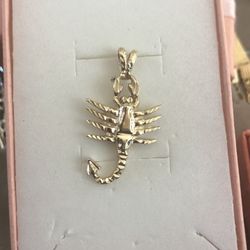 14kt Dije 🦂 De Oro Sólido 🦂