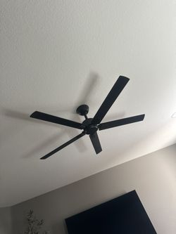 Black Fan