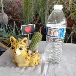 Regalo San Valentín