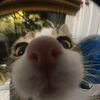 Sid