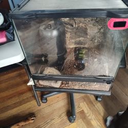 Exo Terrarium