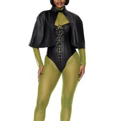 Wicked Witch Costume 