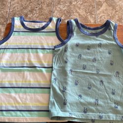 Toddler Boy 2T