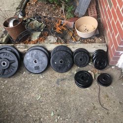 Weights 1” Standard Size 