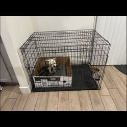 dog crate for sale 