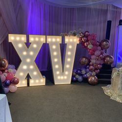 Ballon garland iron circle backdrop