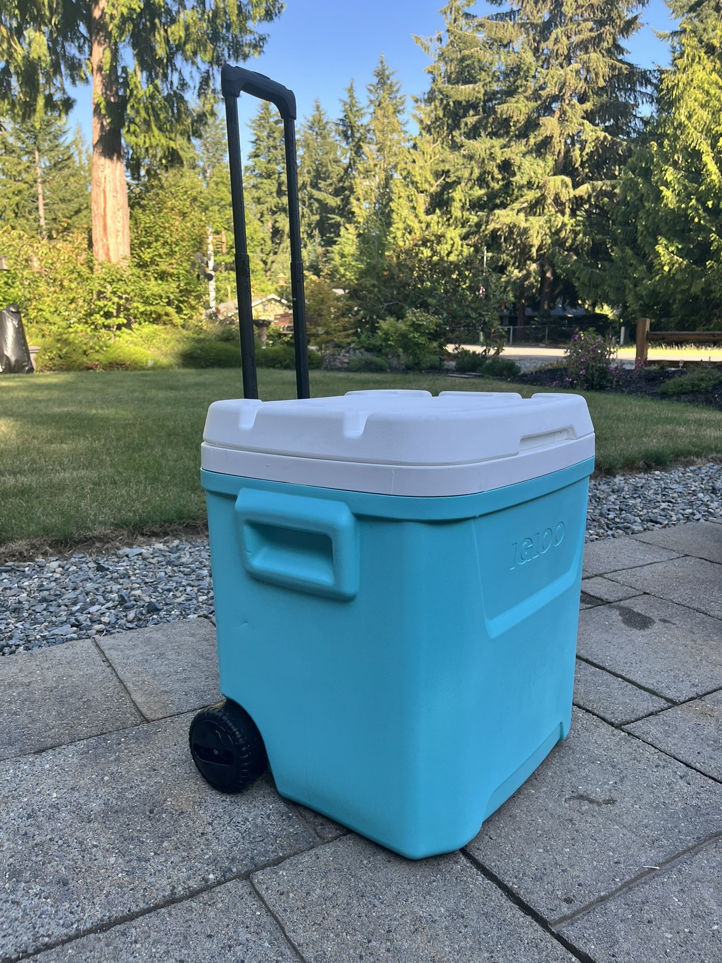 Large 60 QT Cooler with wheels