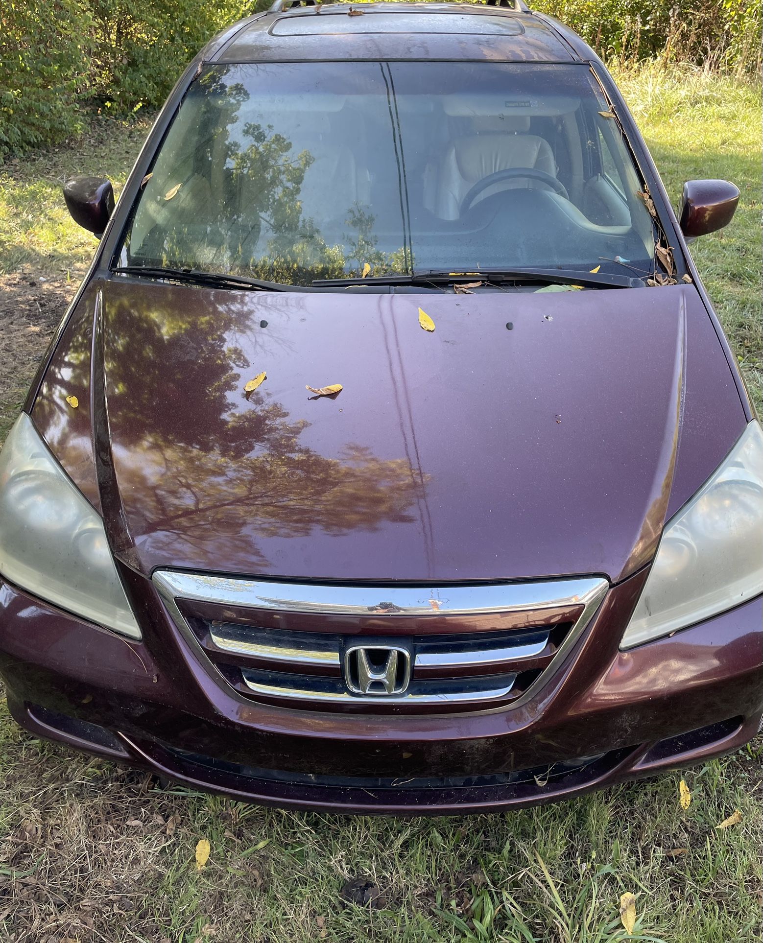2007 Honda Odyssey