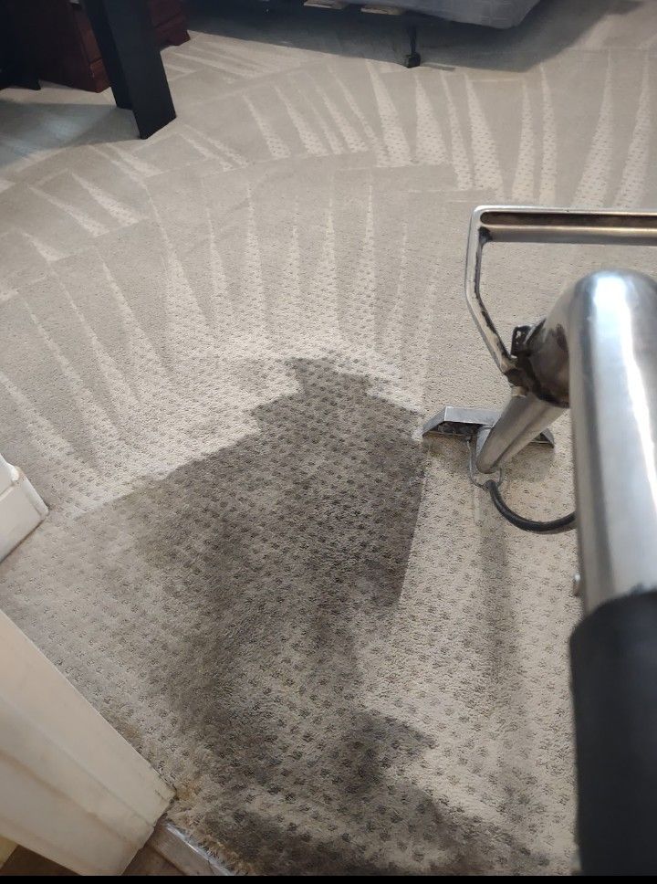 Carpet Cleaner