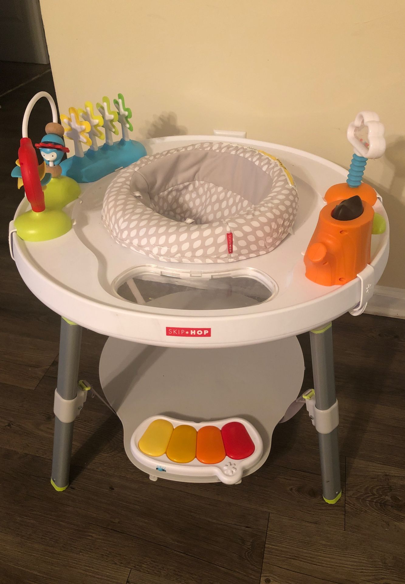 Skip and Hop Activity Center