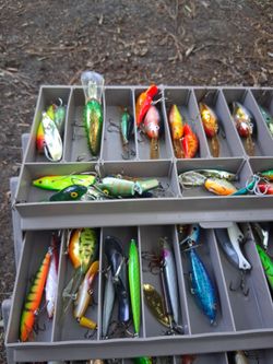 60 of The best fishing lures